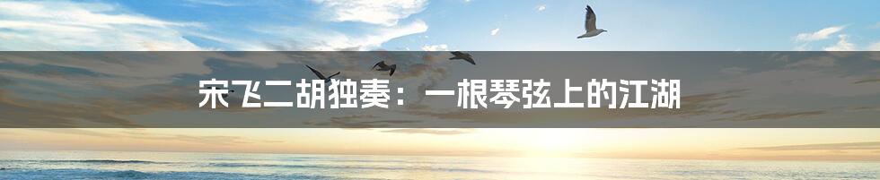 宋飞二胡独奏：一根琴弦上的江湖