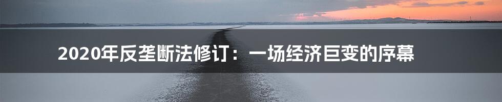 2020年反垄断法修订:一场经济巨变的序幕