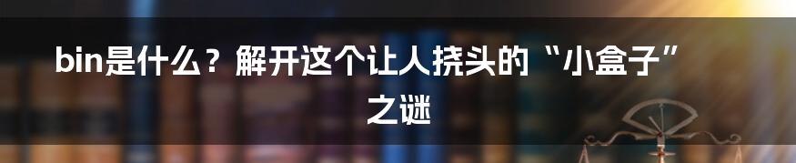bin是什么？解开这个让人挠头的“小盒子”之谜