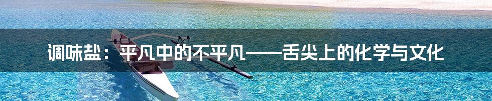 调味盐：平凡中的不平凡——舌尖上的化学与文化
