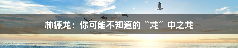 林德龙：你可能不知道的“龙”中之龙