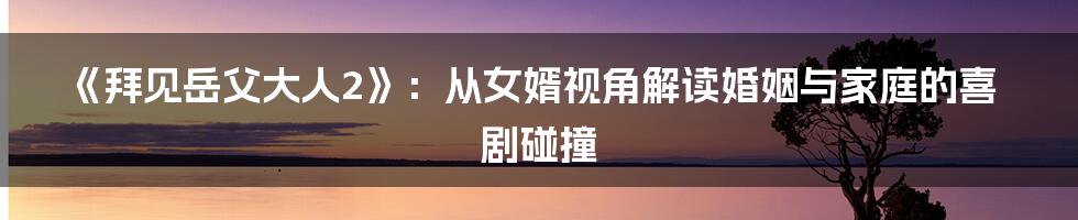 《拜见岳父大人2》:从女婿视角解读婚姻与家庭的喜剧碰撞