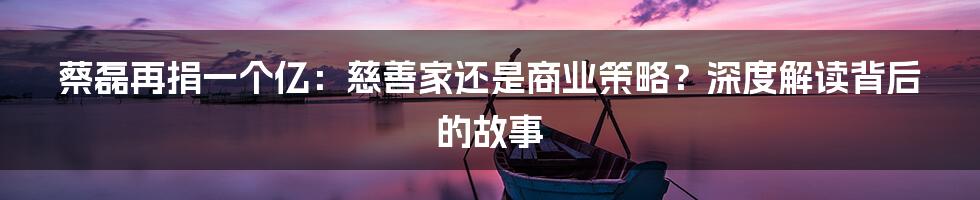蔡磊再捐一个亿:慈善家还是商业策略?深度解读背后的故事
