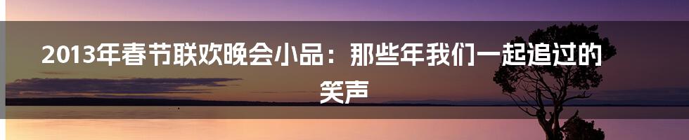 2013年春节联欢晚会小品：那些年我们一起追过的笑声