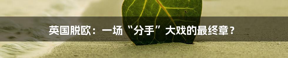 英国脱欧：一场“分手”大戏的最终章？