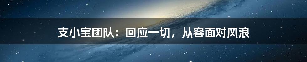 支小宝团队：回应一切，从容面对风浪