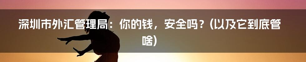 深圳市外汇管理局:你的钱,安全吗?(以及它到底管啥)