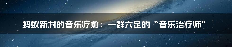 蚂蚁新村的音乐疗愈：一群六足的“音乐治疗师”