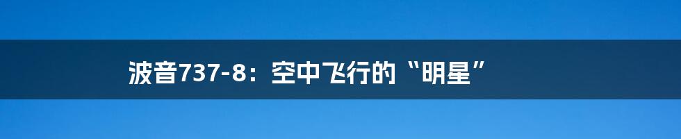 波音737-8：空中飞行的“明星”
