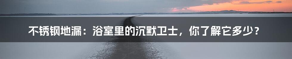 不锈钢地漏：浴室里的沉默卫士，你了解它多少？