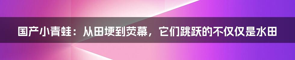 国产小青蛙:从田埂到荧幕,它们跳跃的不仅仅是水田