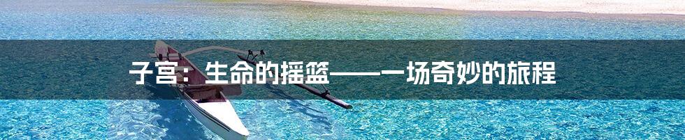 子宫：生命的摇篮——一场奇妙的旅程