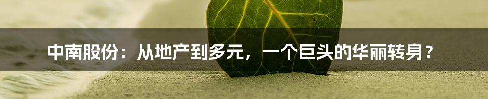 中南股份：从地产到多元，一个巨头的华丽转身？