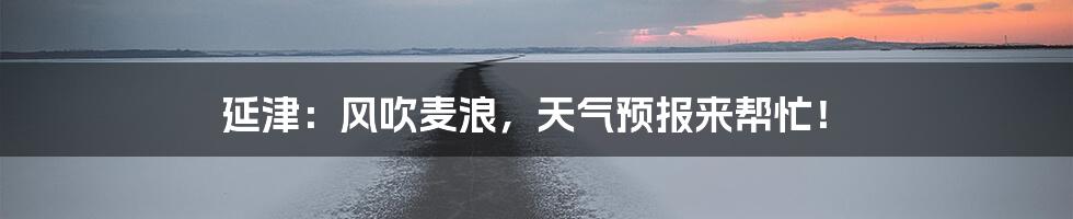 延津：风吹麦浪，天气预报来帮忙！