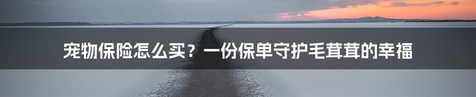 宠物保险怎么买?一份保单守护毛茸茸的幸福