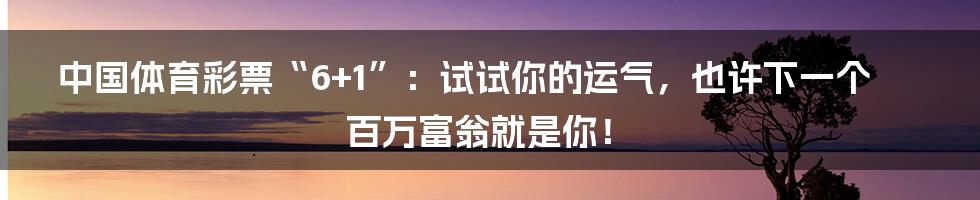 中国体育彩票“6+1”:试试你的运气,也许下一个百万富翁就是你!