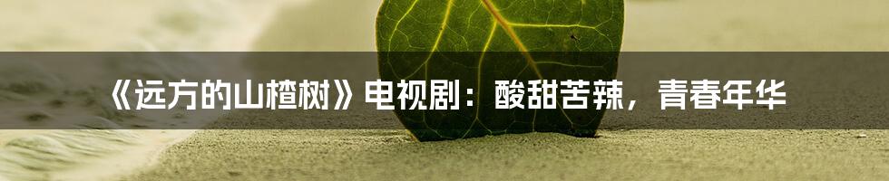 《远方的山楂树》电视剧:酸甜苦辣,青春年华