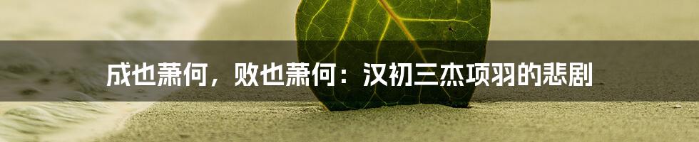 成也萧何，败也萧何：汉初三杰项羽的悲剧