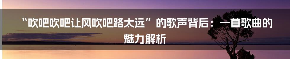 “吹吧吹吧让风吹吧路太远”的歌声背后:一首歌曲的魅力解析