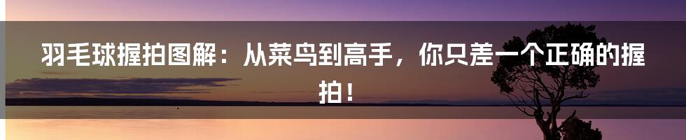 羽毛球握拍图解:从菜鸟到高手,你只差一个正确的握拍!