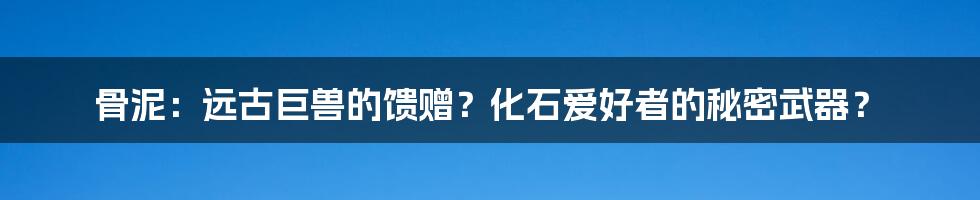 骨泥：远古巨兽的馈赠？化石爱好者的秘密武器？