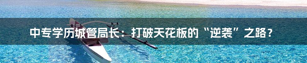 中专学历城管局长:打破天花板的“逆袭”之路?