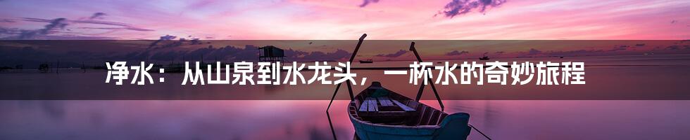 净水:从山泉到水龙头,一杯水的奇妙旅程