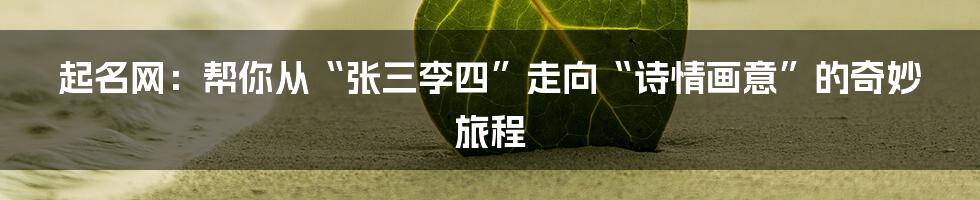 起名网：帮你从“张三李四”走向“诗情画意”的奇妙旅程