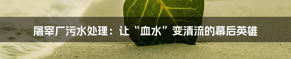 屠宰厂污水处理:让“血水”变清流的幕后英雄