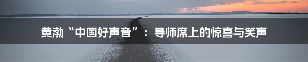 黄渤“中国好声音”：导师席上的惊喜与笑声