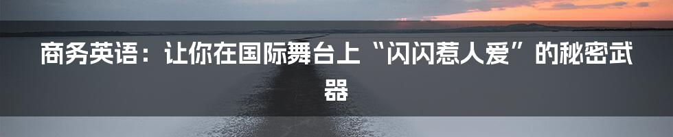 商务英语:让你在国际舞台上“闪闪惹人爱”的秘密武器