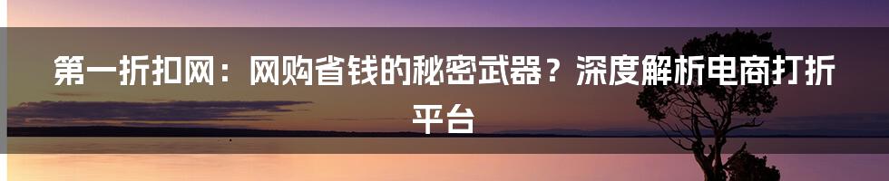 第一折扣网:网购省钱的秘密武器?深度解析电商打折平台