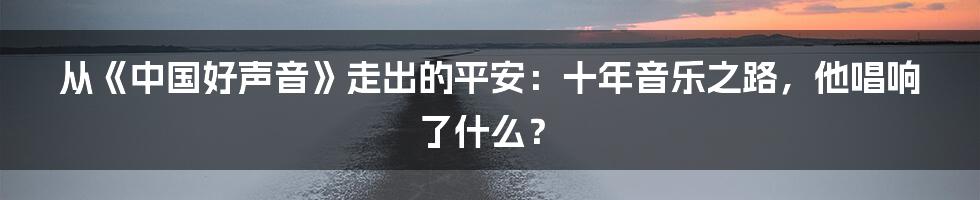 从《中国好声音》走出的平安:十年音乐之路,他唱响了什么?