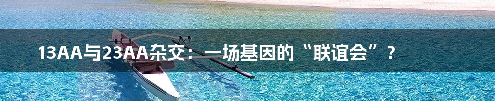 13AA与23AA杂交:一场基因的“联谊会”?