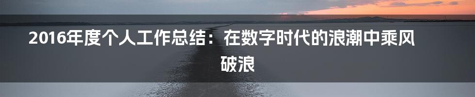 2016年度个人工作总结:在数字时代的浪潮中乘风破浪