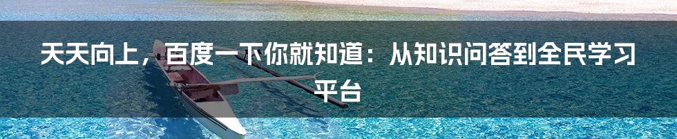 天天向上,百度一下你就知道:从知识问答到全民学习平台