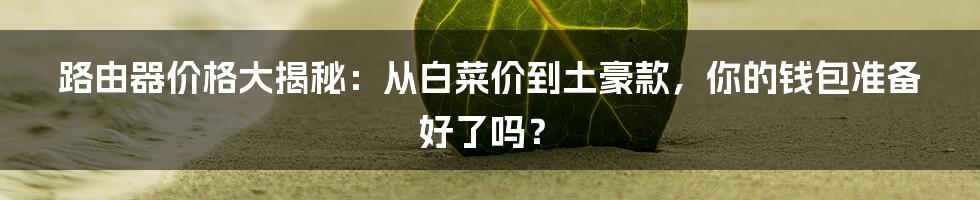 路由器价格大揭秘:从白菜价到土豪款,你的钱包准备好了吗?