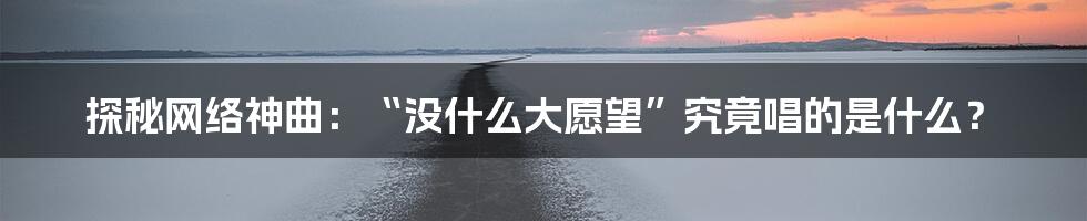 探秘网络神曲:“没什么大愿望”究竟唱的是什么?