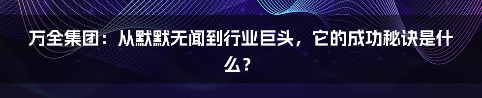 万全集团：从默默无闻到行业巨头，它的成功秘诀是什么？