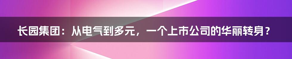 长园集团:从电气到多元,一个上市公司的华丽转身?