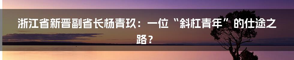 浙江省新晋副省长杨青玖:一位“斜杠青年”的仕途之路?