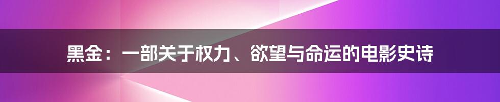 黑金：一部关于权力、欲望与命运的电影史诗