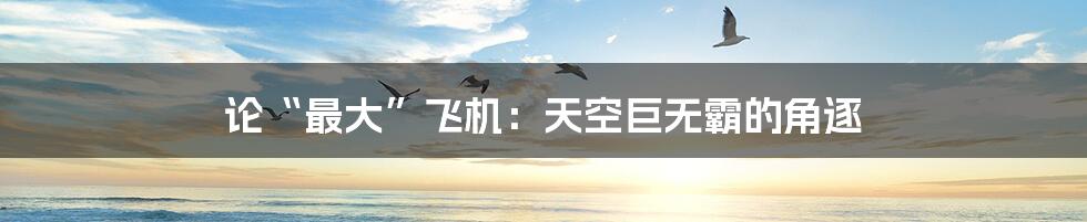 论“最大”飞机：天空巨无霸的角逐