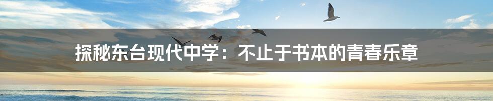 探秘东台现代中学:不止于书本的青春乐章