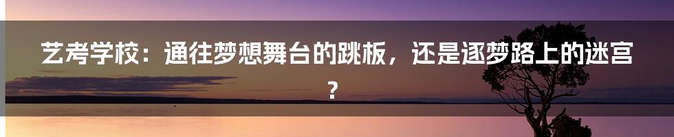 艺考学校：通往梦想舞台的跳板，还是逐梦路上的迷宫？