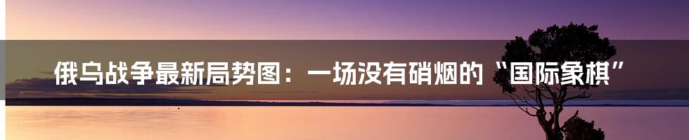 俄乌战争最新局势图：一场没有硝烟的“国际象棋”