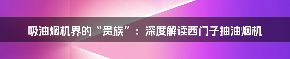 吸油烟机界的“贵族”：深度解读西门子抽油烟机