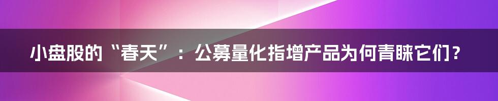 小盘股的“春天”:公募量化指增产品为何青睐它们?