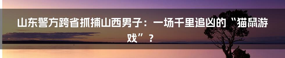 山东警方跨省抓捕山西男子:一场千里追凶的“猫鼠游戏”?