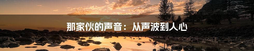 那家伙的声音：从声波到人心